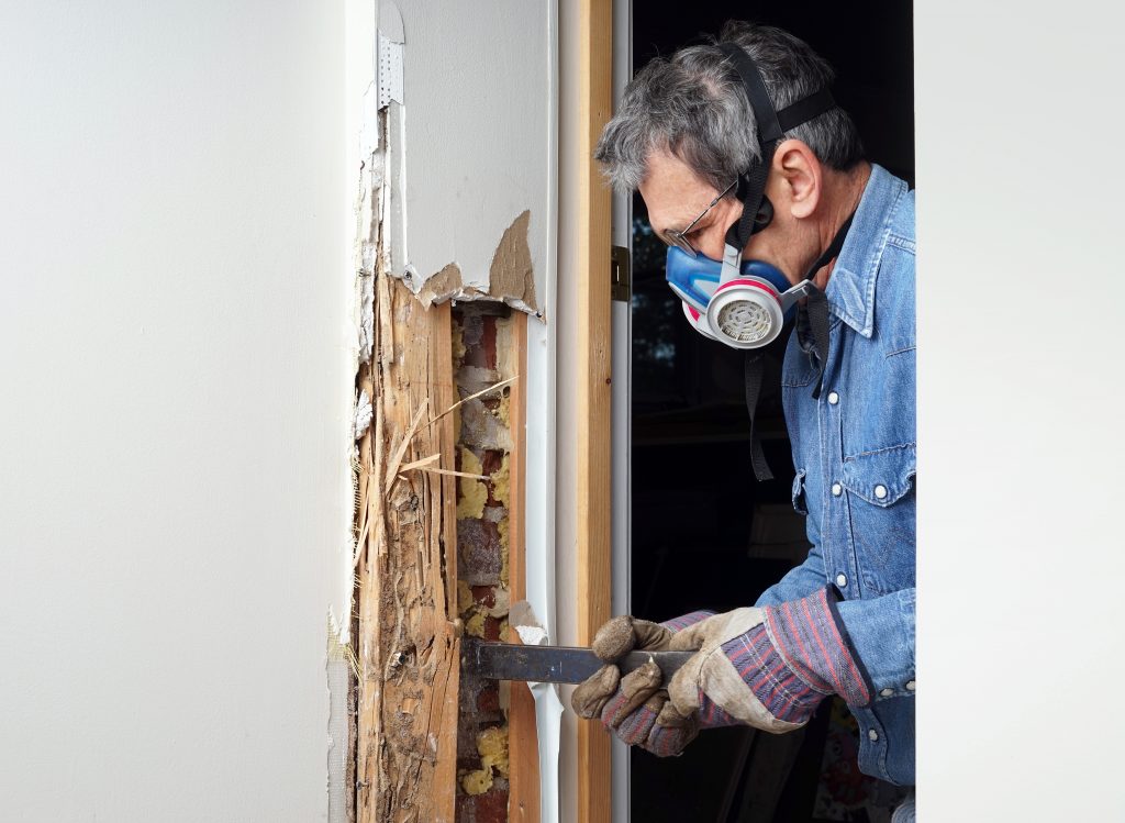 Termite Exterminator Working