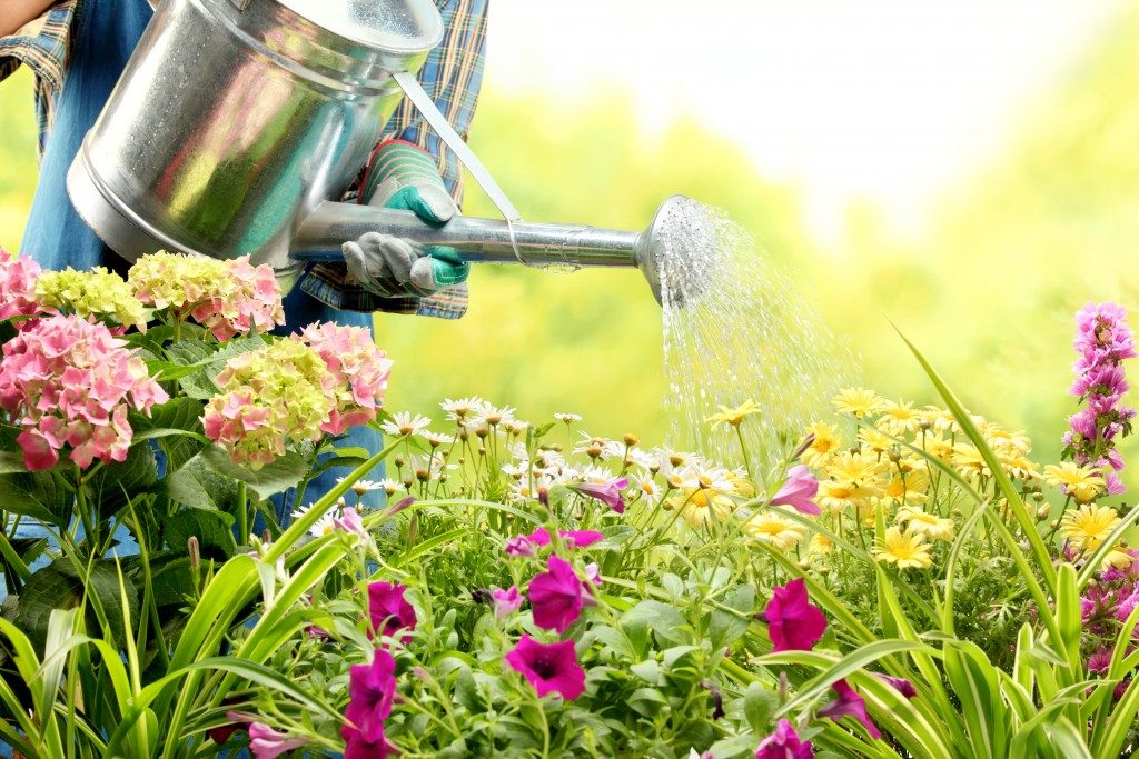 gardener watering the plants and flowers in the garden