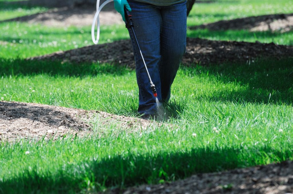 Person spraying the grass