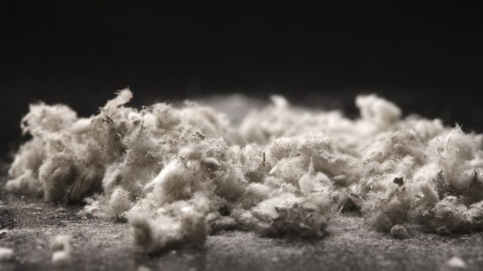 image of asbestos