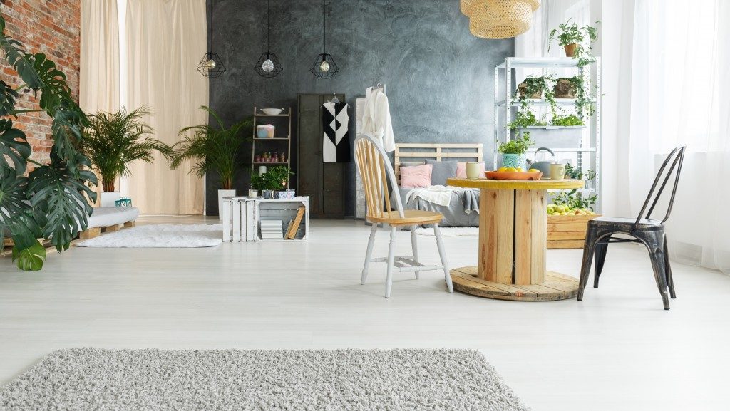studio apartment with decorations and unique furniture