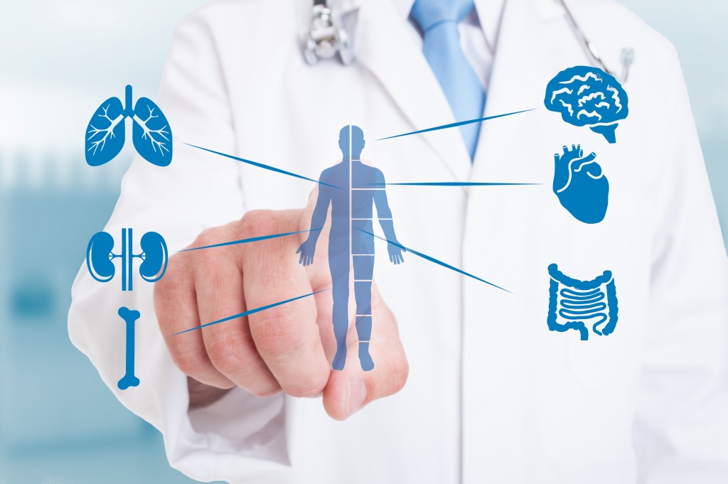 doctor pointing at human body